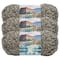 3 Pack Lion Brand® Hometown Variegates Yarn